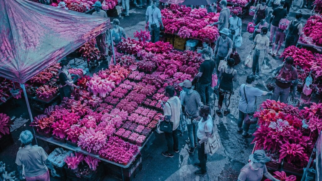 Aerial infrared photograph of an urban farmers market with microgreens and produce stalls glowing in vivid magenta tones and shoppers rendered as cool cyan silhouettes