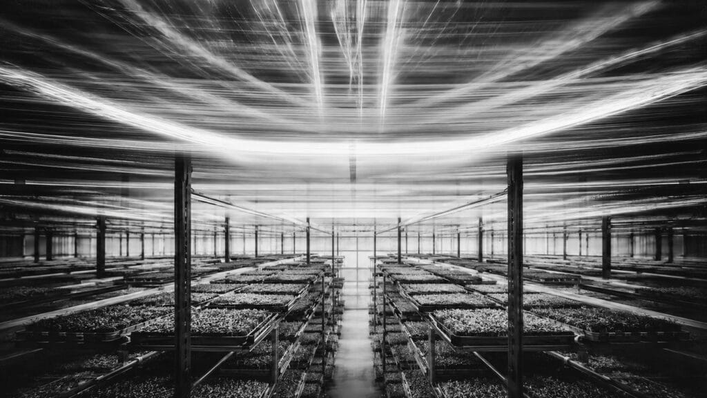 Long exposure pinhole camera photograph of a vertical farm interior with LED grow light trails streaking across the ceiling above sharp crystalline rows of microgreens trays below