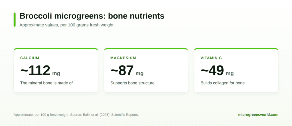 Broccoli microgreens bone nutrients per 100 grams: calcium about 112 mg, magnesium about 87 mg, vitamin C about 49 mg.