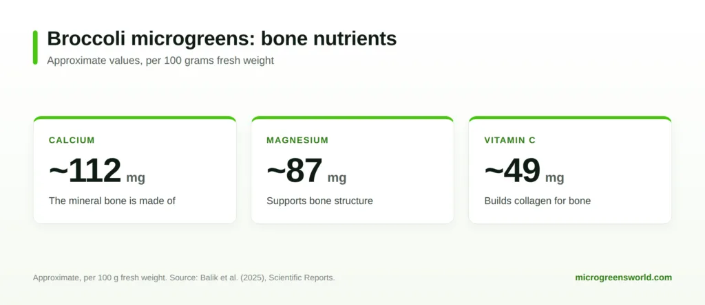 Broccoli microgreens bone nutrients per 100 grams: calcium about 112 mg, magnesium about 87 mg, vitamin C about 49 mg.