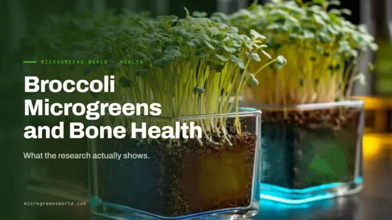 Fresh broccoli microgreens growing in clear glass planters, a Microgreens World featured image