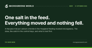 One salt in the feed. Everything moved and nothing fell.