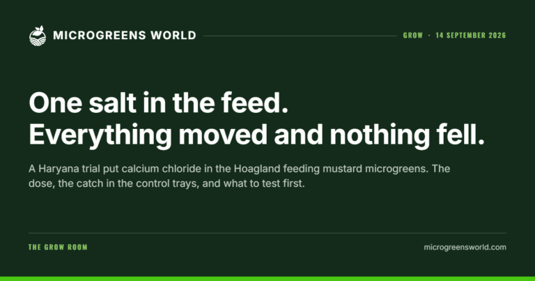 One salt in the feed. Everything moved and nothing fell.