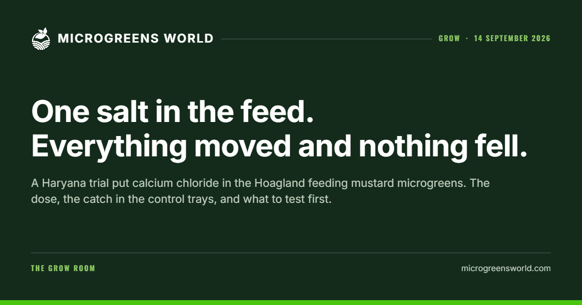 One salt in the feed. Everything moved and nothing fell.