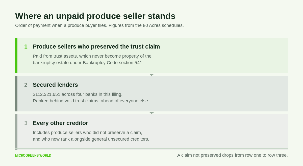 Three-tier diagram: preserved trust claims rank first, then secured lenders at $112,321,651, then all other creditors.