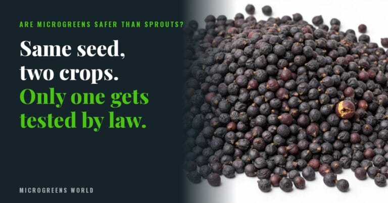 Text card: Same seed, two crops. Only one gets tested by law. Macro photo of dry broccoli seeds.