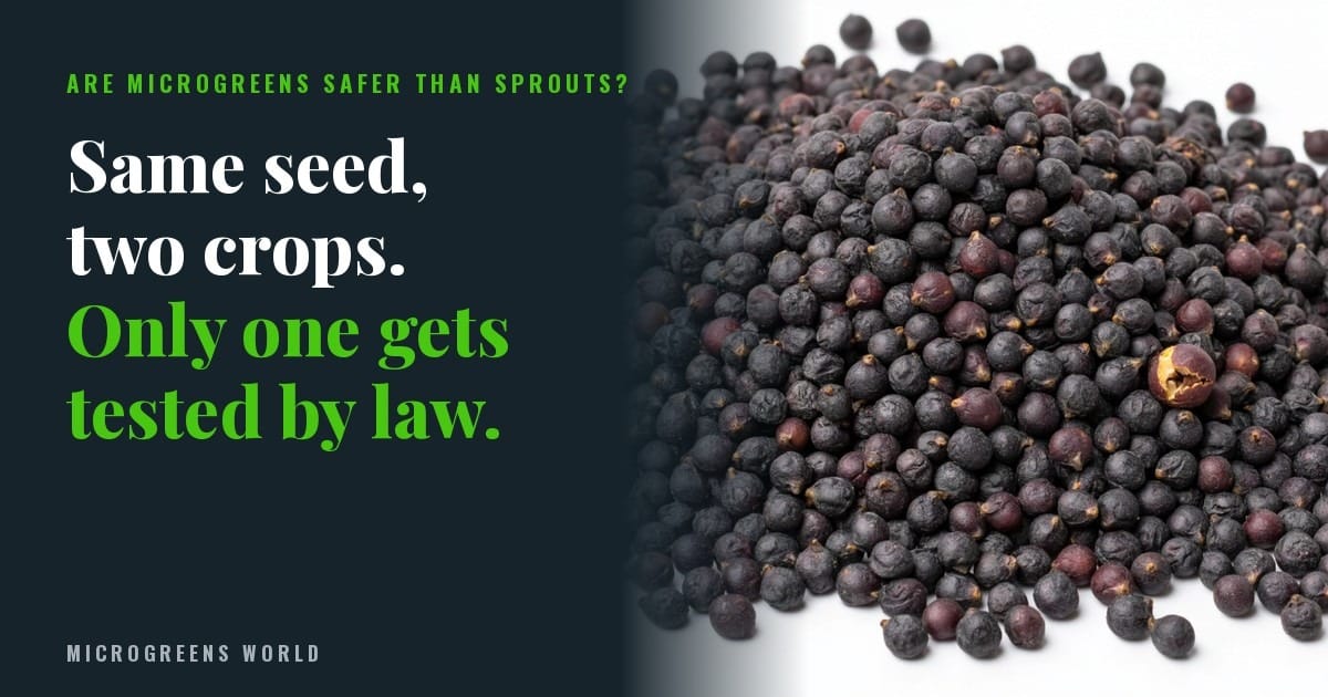 Text card: Same seed, two crops. Only one gets tested by law. Macro photo of dry broccoli seeds.