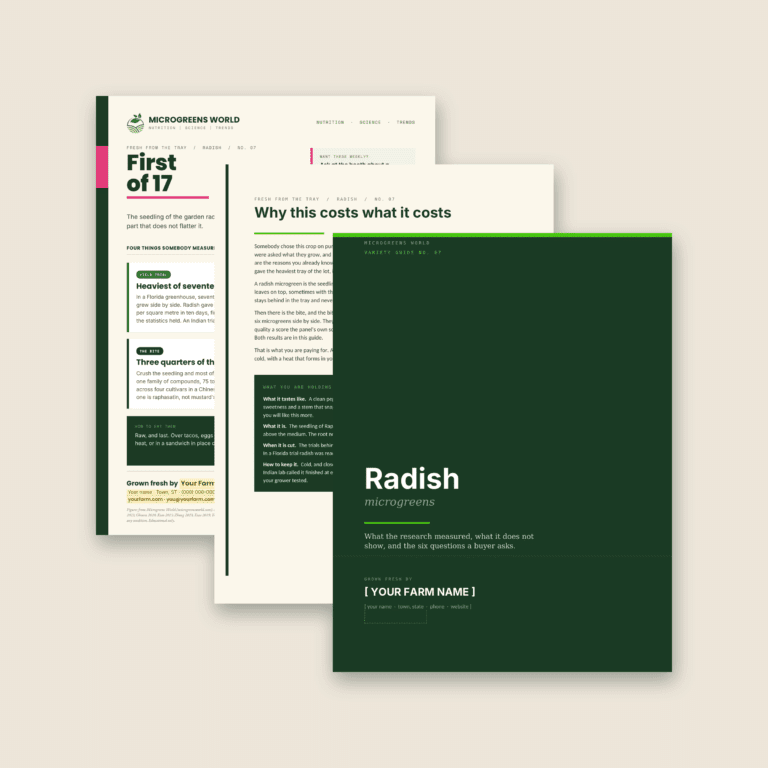 The dark green cover of the Radish Variety Guide No. 07 in front of its cream opening page and the First of 17 price sheet, three documents fanned on a warm beige background.